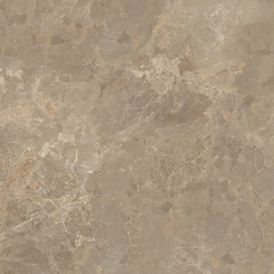 colour|Tortora
