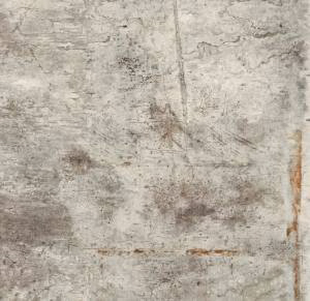 colour|Grigio