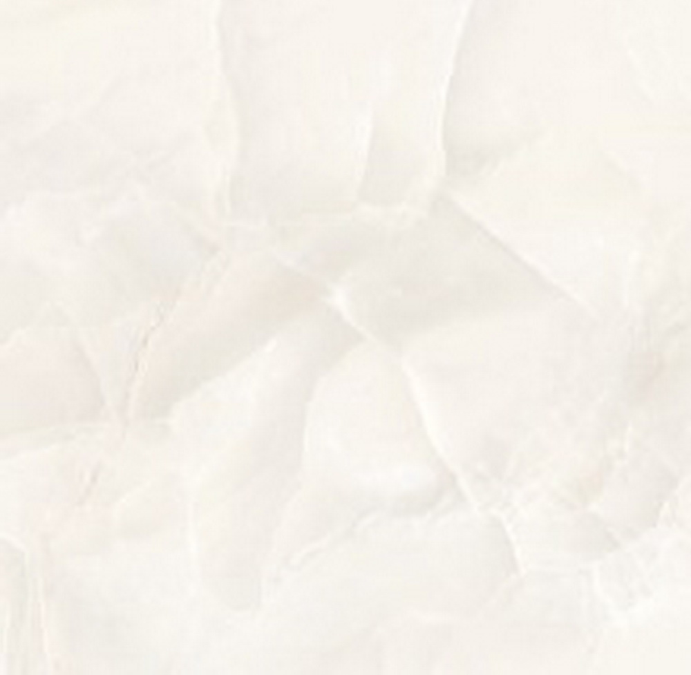 colour|Ivory