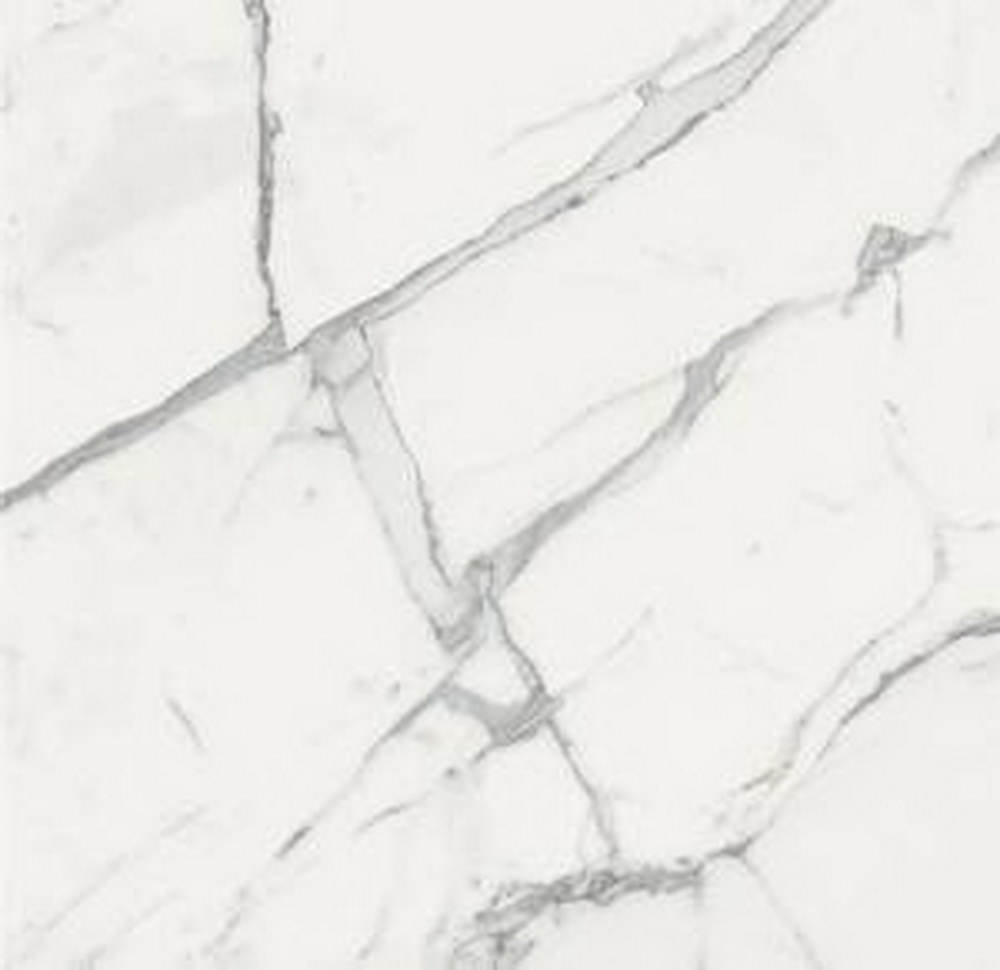 colour|Calacatta White