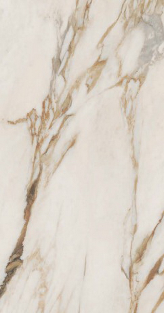 colour|Calacatta Gold