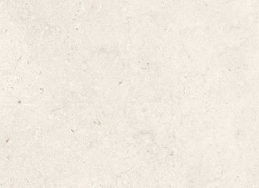 colour|Ivory