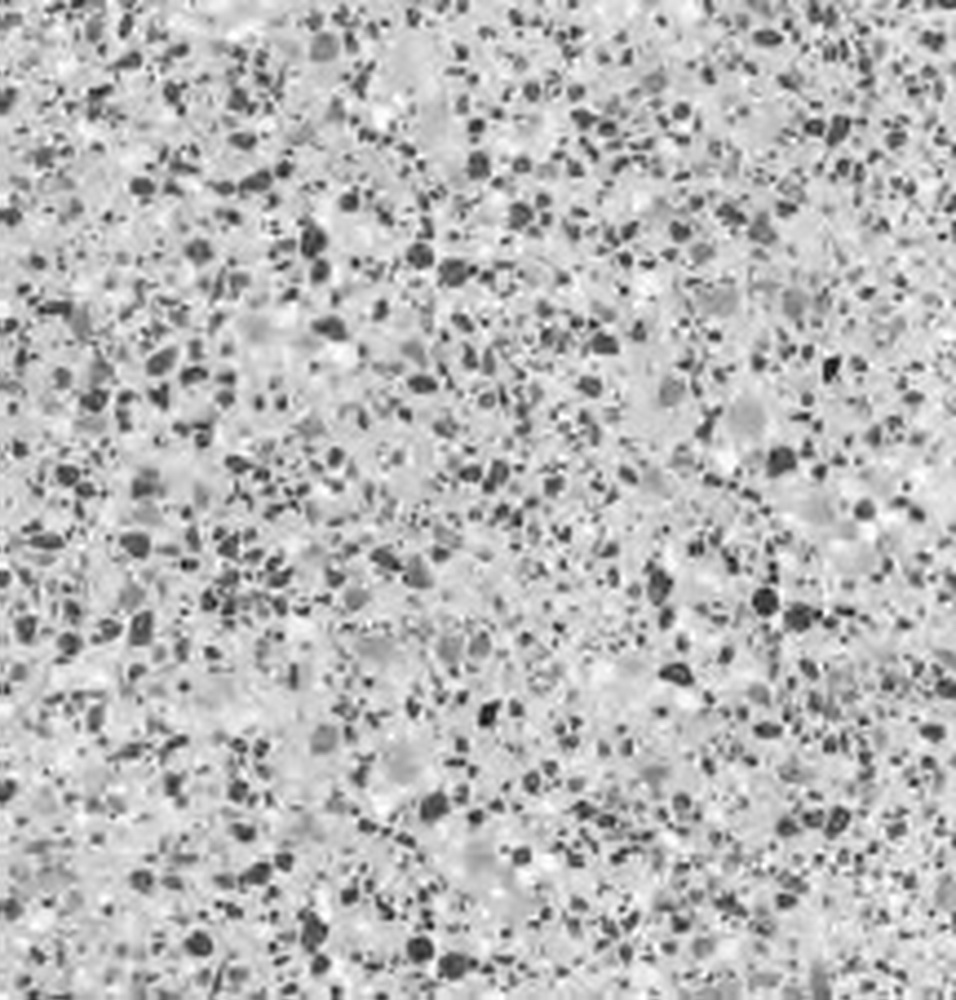 colour|Terrazzo Black