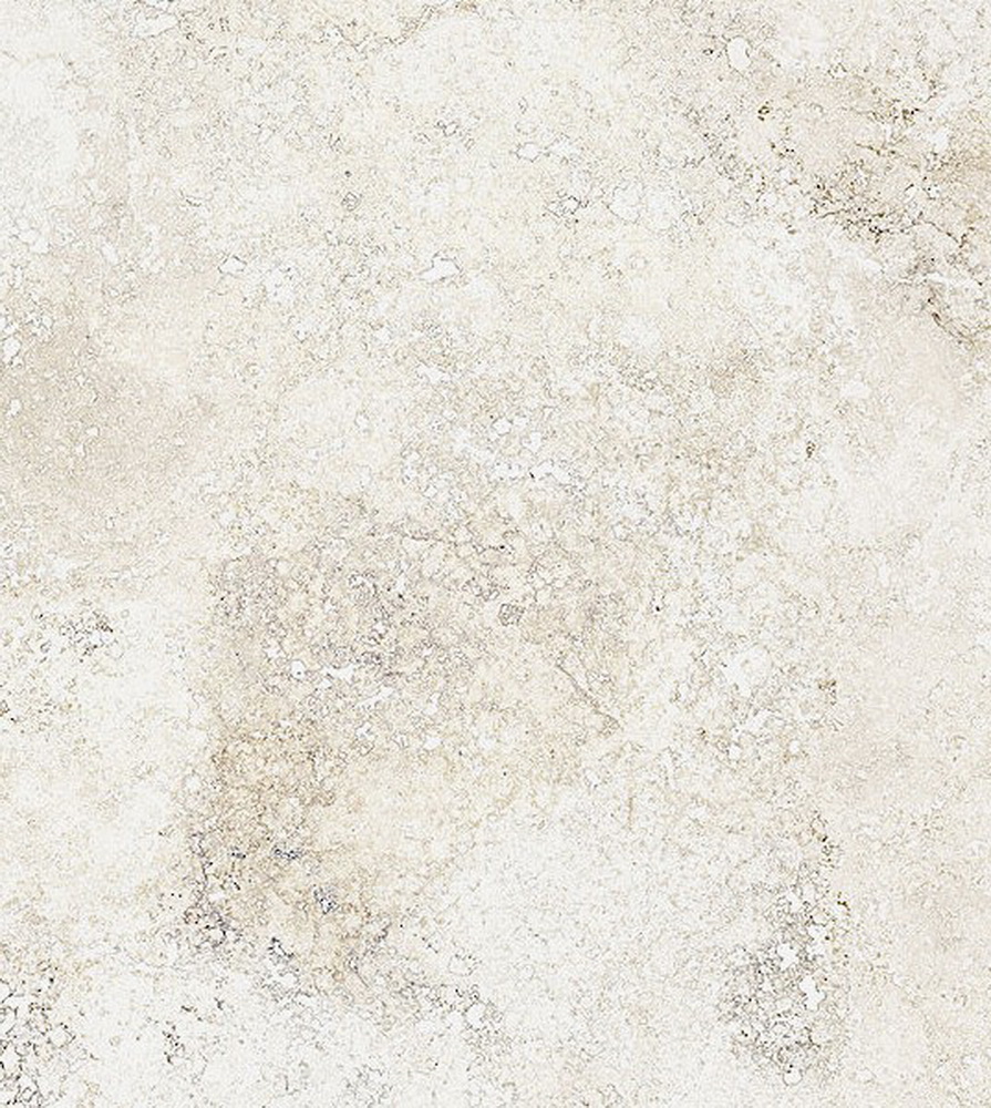 colour|Ivory