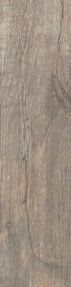 colour|Oak