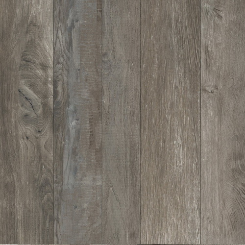 colour|Kauri